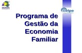 Programa de Gestão da Economia Familiar. Índice Grupo Guaraniana Programa de Gestão da Economia Familiar Histórico Objetivos Metodologia Resultados Dicas.