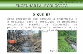 O QUE É? Área emergente que combina a engenharia e a ecologia para a resolução de problemas ambientais através da elaboração de projectos que integrem.