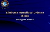 Síndrome Hemolítico-Urêmica (SHU) Rodrigo O. Schmitz.
