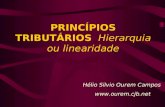 PRINCÍPIOS TRIBUTÁRIOS Hierarquia ou linearidade Hélio Silvio Ourem Campos .
