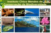 Instituto Chico Mendes de Conservação da Biodiversidade.
