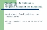 Ministério de Ciência e Tecnologia Programa Nacional do Biodiesel Workshop: Co-Produtos do Biodiesel Rio de Janeiro, 30 e 31 de maio de 2005.