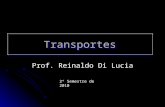 TransportesTransportes Prof. Reinaldo Di Lucia 2º Semestre de 2010.