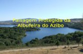 Paisagem Protegida da Albufeira do Azibo. Criação PPAA Decreto Regulamentar n.º 13/99, de 3 de Agosto; Área de 3327,146 ha;