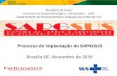 Brasília-DF, Novembro de 2010 Ministério da Saúde Secretaria de Gestão Estratégica e Participativa – SGEP Departamento de Monitoramento e Avaliação da.
