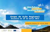 Programa Região de Leiria 2020 Grupo de Ação Regional Encontro de 25 de março 2013.