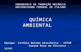 Equipe: Cínthia Bolzan Giacchetta - 15749 Suzane Rosa de Oliveira - 15747 ENGENHARIA DE PRODUÇÃO MECÂNICA UNIVERSIDADE FEDERAL DE ITAJUBÁ QUÍMICA AMBIENTAL.
