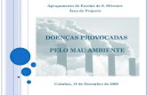 DOENÇAS PROVOCADAS PELO MAU AMBIENTE Agrupamento de Escolas de S. Silvestre Área de Projecto Coimbra, 18 de Dezembro de 2009.