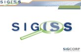 O que é o SIG-ISS ? Sistema integrado - WEB O que é o SIG-ISS ? Aumenta o patamar tecnológico Informatiza o processo de arrecadação do ISSQN.
