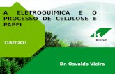 17/SET/2013 A ELETROQUÍMICA E O PROCESSO DE CELULOSE E PAPEL Dr. Osvaldo Vieira.