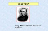GENÉTICA Prof. Marco Aurelio de Castro Ribeiro. Herança através de Partículas Gregor Mendel - 1822-1884 A transmissão dos caracteres hereditários são.
