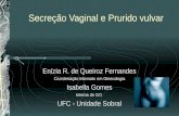 Secreção Vaginal e Prurido vulvar Enízia R. de Queiroz Fernandes Coordenação Internato em Ginecologia Isabella Gomes Interna de GO UFC - Unidade Sobral.