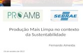 Produção Mais Limpa no contexto da Sustentabilidade Fernando Almeida 04 de outubro de 2012.