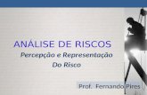 Percepção e Representação Do Risco Prof. Fernando Pires ANÁLISE DE RISCOS.