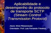 Aplicabilidade e desempenho do protocolo de transporte SCTP (Stream Control Transmission Protocol) Aluno: Elvis Pfützenreuter Orientador: Prof. Luis Fernando.