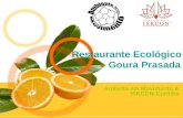 Restaurante Ecológico Goura Prasada Ambinte em Movimento & ISKCON-Curitiba.