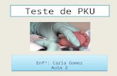 Teste de PKU Enfª: Carla Gomes Aula 2 Enfª: Carla Gomes Aula 2.