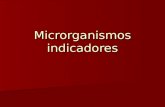 Microrganismos indicadores. Critérios para definição de um microrganismo ou grupo de microrganismos como indicadores Deve ser de rápida e fácil detecção.