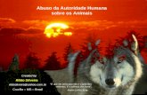 Abuso da Autoridade Humana sobre os Animais Rildo Silveira Created by rildosilveira@yahoo.com.br Cruzília – MG – Brasil O que me preocupa não é o grito.
