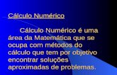 Cálculo Numérico Cálculo Numérico é uma área da Matemática que se ocupa com métodos do cálculo que tem por objetivo encontrar soluções aproximadas de problemas.