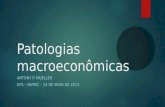Patologias macroeconômicas ANTONY P. MUELLER UFS – NUPEC – 24 DE MAIO DE 2013.