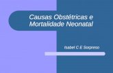 Causas Obstétricas e Mortalidade Neonatal Isabel C E Sorpreso.