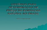 CRITÉRIOS PARA DETERMINAÇAO DE PREÇO DA BORRACHA NATURAL NO BRASIL Patrícia Lopes Rosado.