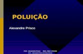 Prof - Alexandre Prisco REG. MEC 2704/84 POLUIÇÃO Alexandre Prisco Prof – Alexandre Prisco da Silva Neves.