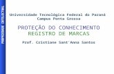 PROPRIEDADE INTELECTUAL Universidade Tecnológica Federal do Paraná Campus Ponta Grossa PROTEÇÃO DO CONHECIMENTO REGISTRO DE MARCAS Prof. Cristiane Sant.