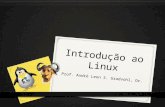 Introdução ao Linux Prof. André Leon S. Gradvohl, Dr.