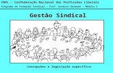 Gestão Sindical Concepções e legislação específica CNPL – Confederação Nacional das Profissões Liberais Programa de Formação Sindical – Prof. Ernesto Germano.