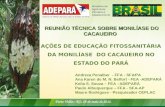AÇÕES DE EDUCAÇÃO FITOSSANITÁRIA DA MONILÍASE DO CACAUEIRO NO ESTADO DO PARÁ Ministério da Agricultura, Pecuária e Abastecimento Andreza Penalber - FFA.