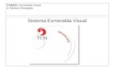 CURSO: Esmeralda Visual 1- Módulo Recepção Sistema Esmeralda Visual.