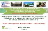 Panorama sobre as Bibliotecas Escolares e Públicas e a atuação dos profissionais: Técnico em Biblioteconomia Profª Drª Lizandra Brasil Estabel – CRB 10/1405.
