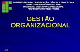 INSTITUTO FEDERAL DE EDUCAÇÃO, CIÊNCIA E TECNOLOGIA DO RIO GRANDE DO NORTE - IFRN DISCIPLINA: GESTÃO ORGANIZACIONAL PROFESSOR: RAFAELLI FREIRE GESTÃO ORGANIZACIONAL.