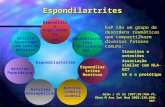 Espondilartrites EaP são um grupo de desordens reumáticas que compartilharm diversos fatores comuns: 1. Sinovites e entesites 2. Associação similar com.