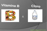 Carlos Miguel Nº 5 CC &. Vitamina B 1 - A tiamina é importante para produção de ácido clorídrico e para a formação do sangue. Tem importante função no.