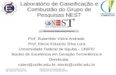 4 e 5 de Outubto de 2011 São José dos Campos, SP Estado Atual e Perspectivas dos Laboratórios de Combustão da RNC Laboratório de Gaseificação e Combustão.