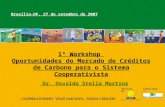 RealizaçãoCapacitação 1º Workshop Oportunidades do Mercado de Créditos de Carbono para o Sistema Cooperativista Brasília-DF, 27 de setembro de 2007 Dr.