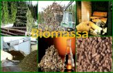 Biomassa. BIOMASSA È um material constituído principalmente de substâncias de origem orgânica,(vegetal, animal, microorganismos). A utilização da energia.