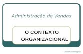 O CONTEXTO ORGANIZACIONAL Administração de Vendas Cleber Domingues.