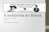 A indústria no Brasil Cap. 07- p. 99 a 102 Cap. 31 Prof. Jeferson C. de Souza.