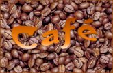 A origem do Café Não há evidência real sobre a descoberta do café, mas há muitas lendas que relatam sua possível origem. Uma das mais aceitas e divulgadas.