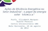 Ações de Eficiência Energética no Setor Industrial - o papel da energia solar térmica" Profa. Elizabeth Marques Duarte Pereira Centro Universitário UNA.