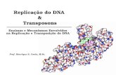 Replicação do DNA & Transposons Enzimas e Mecanismos Envolvidos na Replicação e Transposição do DNA Prof. Henrique S. Costa, M.Sc.