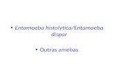 Entamoeba histolytica/Entamoeba dispar Outras amebas.