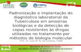 Padronização e implantação do diagnóstico laboratorial da Tuberculose em amostras biológicas e da detecção de cepas resistentes às drogas utilizadas no.