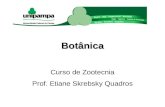 Botânica Curso de Zootecnia Prof. Etiane Skrebsky Quadros.