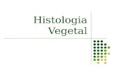 Histologia Vegetal. Tecidos vegetais Conjunto de células diferenciadas e especializadas na realização de determinadas funções; Organizam-se em três sistemas.