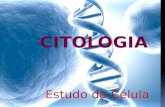 A Célula – Unidade básica da vida CitologiaMicroscópio É a área da Biologia responsável pelo estudo da célula. Depois do aprimoramento desse instrumento.
